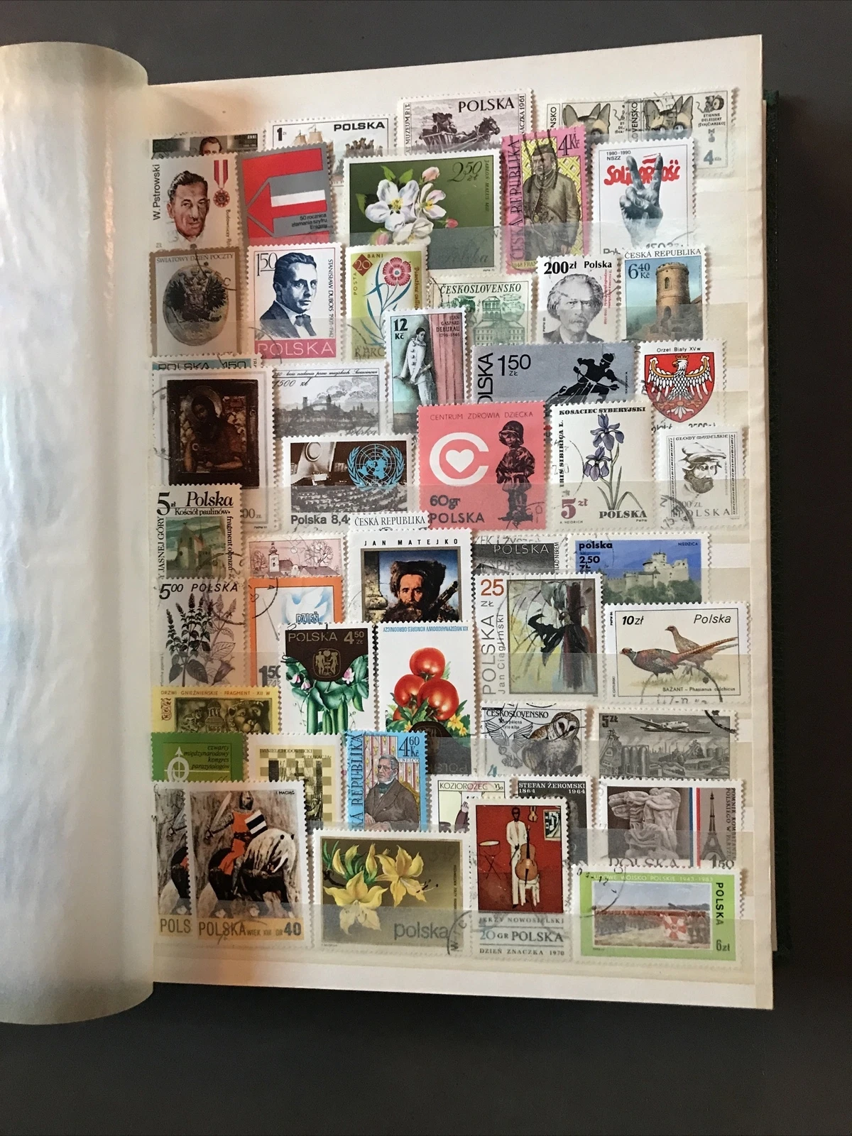 Bild 20 von 24