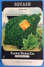 *Original* HUBBARD SQUASH Vegetable CARD SEED Packet Pack 1920's Fredonia N.Y.