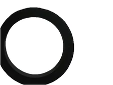 Viton 2" Camlock Gasket.