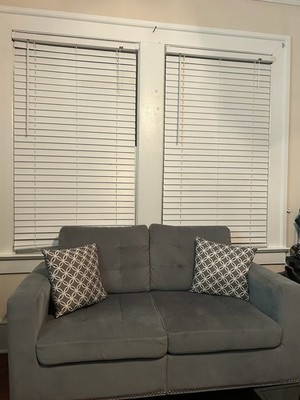 Two Couches   Clean & Comfortable   Moving Sale