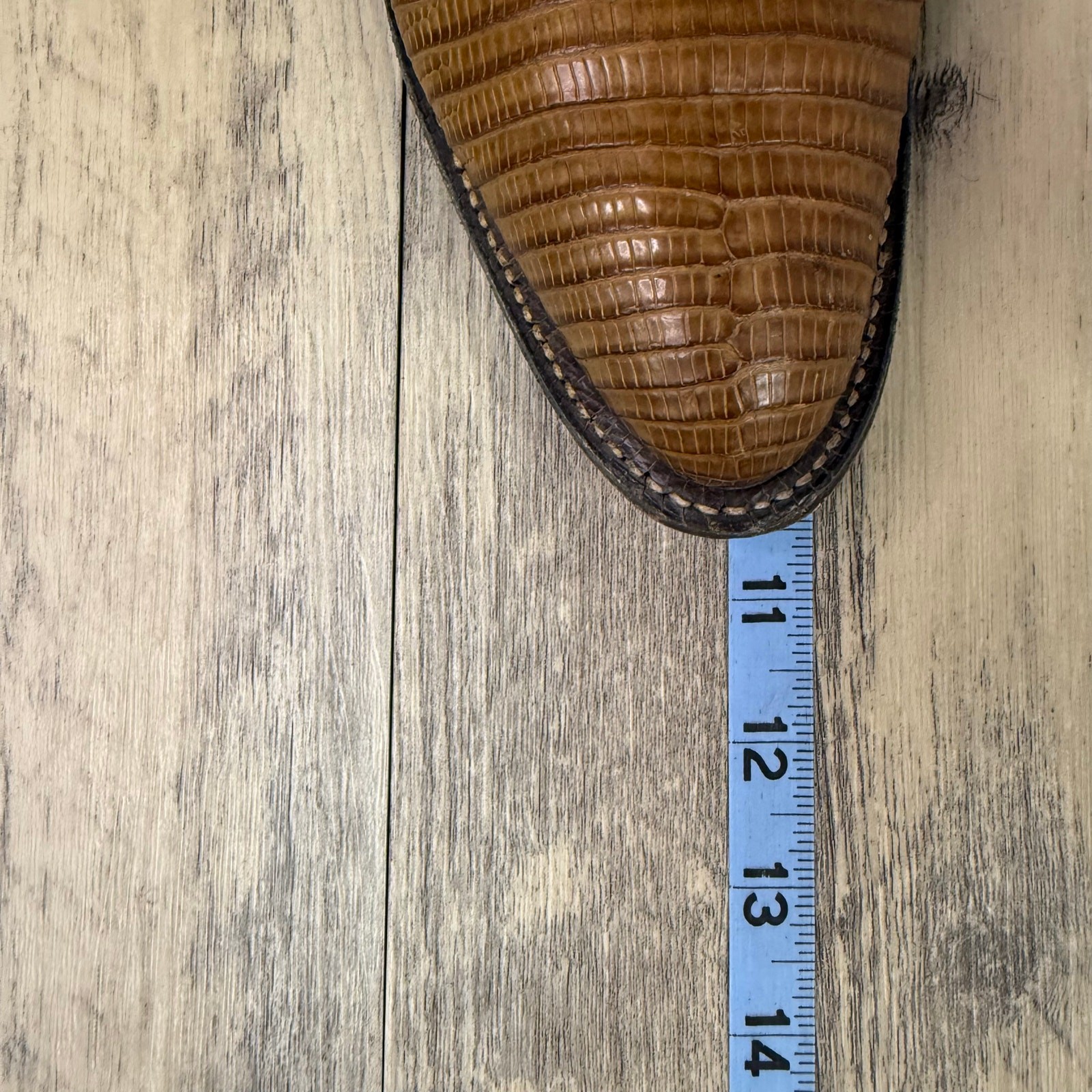 Picture 9 of 12