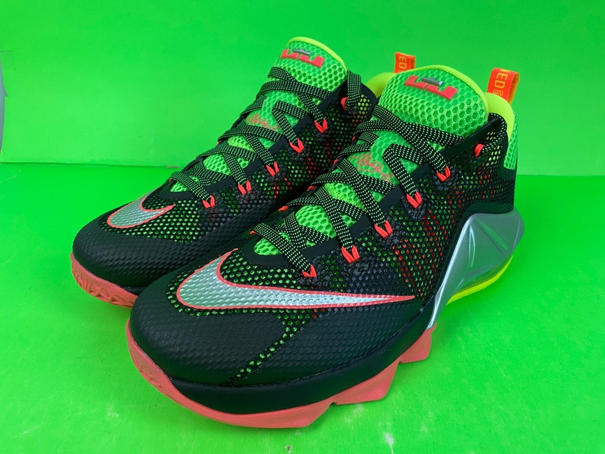 新品未使用Nike LeBron XII ELITE 12 31cm NEW NIKE ZOOM LEBRON XII LOW SZ 9 REMIX GREEN PINK JORDAN 12 18 19