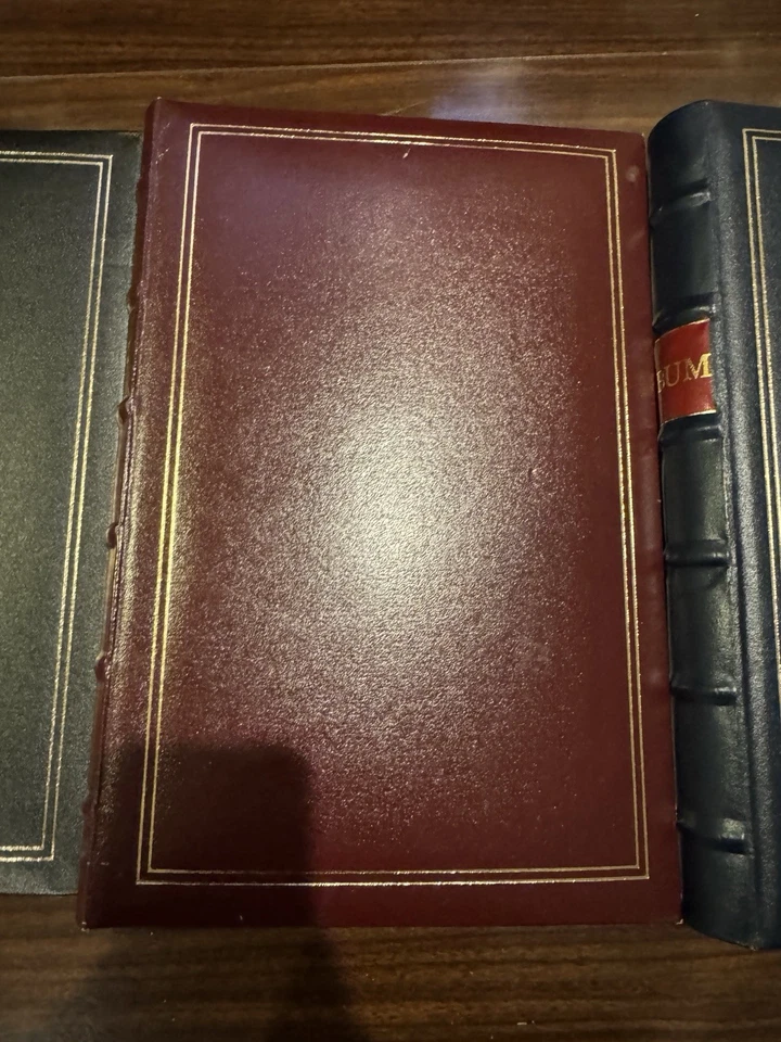 Álbum de fotos de bolsillo Pioneer de cuero unido 200+ 4x6 y 4x12 panorámico elige el color Foto 3 de 4