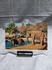 Vintage Asiatic Elephants Postcard Los Angeles Zoo Mitock Publishers