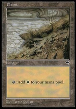 Basic Lands 10 MTG Plains (325) - (Dead Tree), Moderate Play, English Tempest