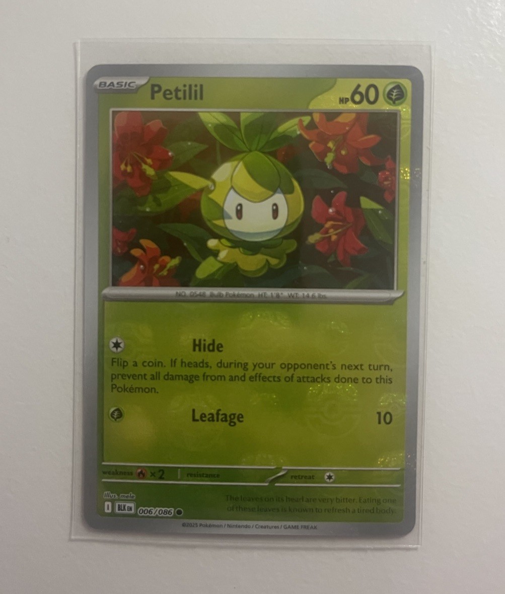 Pokémon Black Bolt Petilil 006/086 (Masterball Pattern) Holo NM