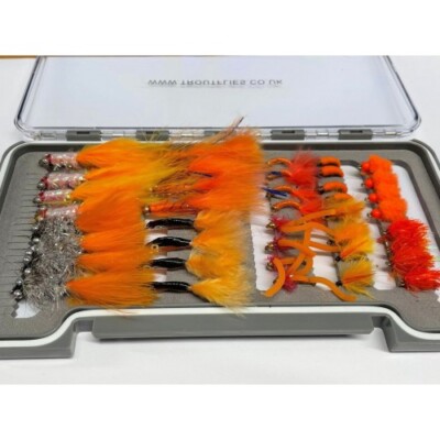 40 Orange Favourites Boxed Set Goldhead & Köder, Orange Angeln Fliegen Fliegen Box