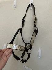 Kathy’s Mare Size Show Halter