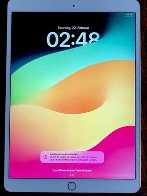 Apple iPad Pro 1. Gen 64GB, Wi-Fi, 10,5 Zoll - Roségold