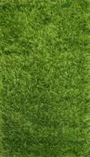 Modern Wool Green Shiny Shaggy Shag Oriental Foyer Rug Handmade Carpet 2x3