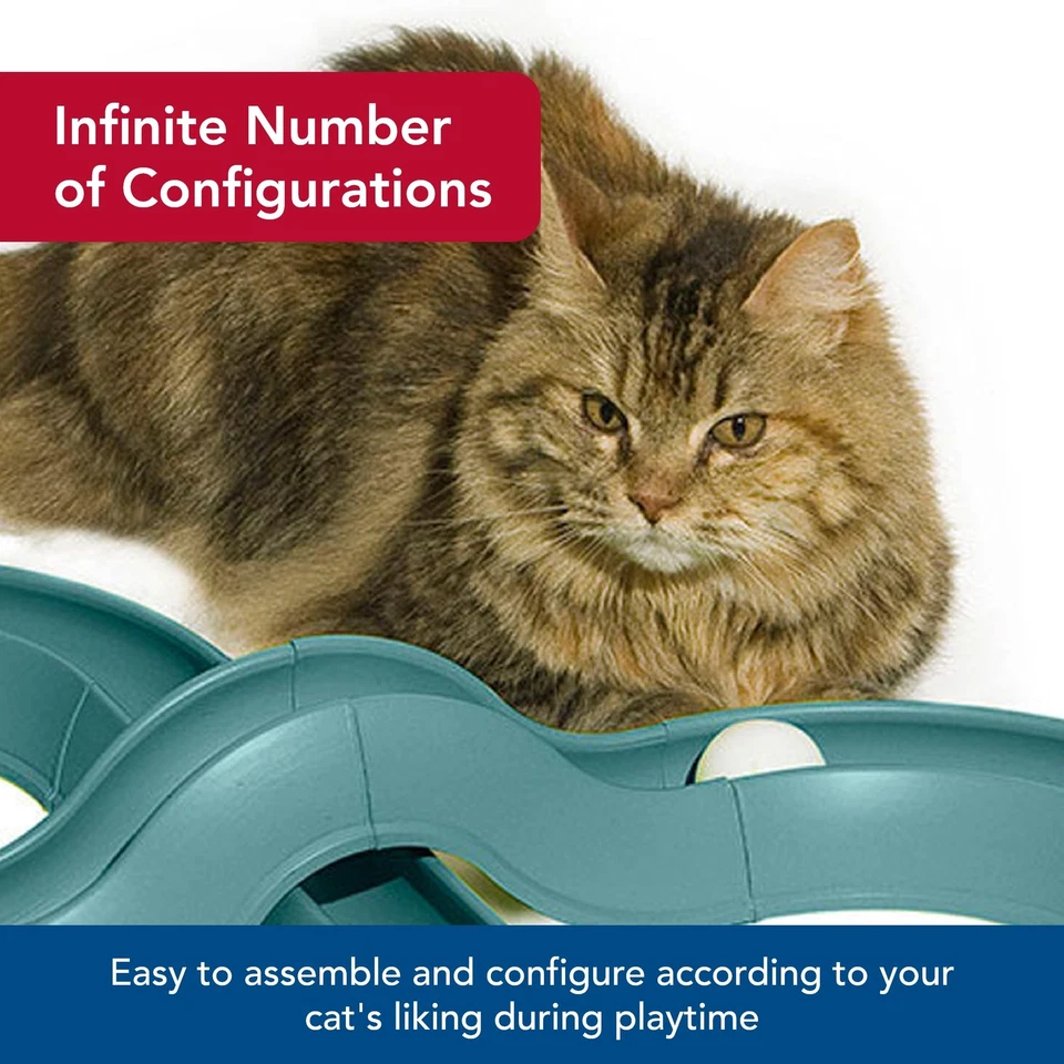 Juguete turbo para gatos para mascotas - Juguete de pelota para gatos y pista de carreras - Fácil montaje - Pizarra azul... Foto 4 de 4