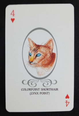 Cat Lovers Playing Card Blue Back Colorpoint Shorthair 4 Hearts