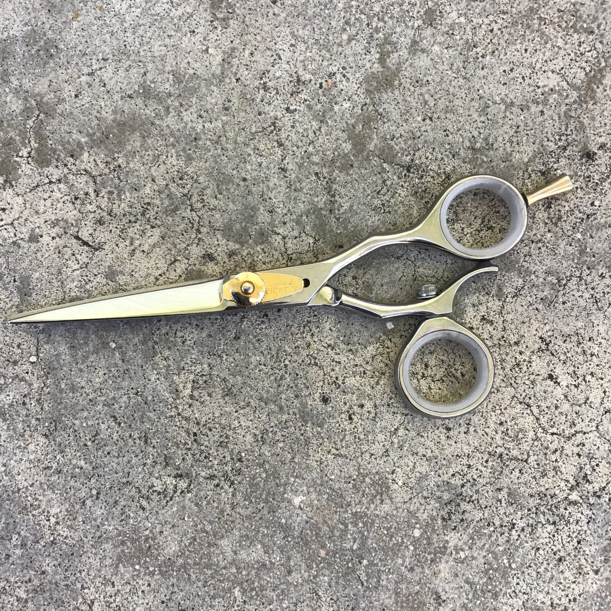 Vintage Professional Shears Arius Eickert 5 Inch 8310SW