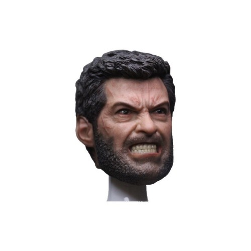 WorldBox AT027 1/6 scale Muscular Wolverine Strong Durable figure