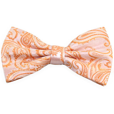 Brand Q Men's Pre-Tied Paisley Bow Tie – Plum Purple Microfiber – Formal Wedding Accessory - View #5