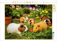 Calvendo Puzzle In The Garden. | 2000 Pieces, Finished Size 35.4 × 26.4 In (90 ×
