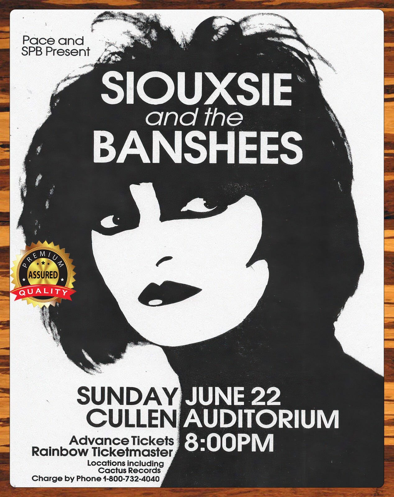 Siouxsie and the Banshees - Cullen Auditorium - 1986 - Rare - Metal Sign 11 x 14