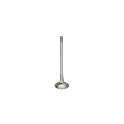 SUPERTECH AUSLASSVENTIL SATZ FÜR AUDI TT RS, Q3 RS 2.5 20V TFSI EXHAUST VALVES