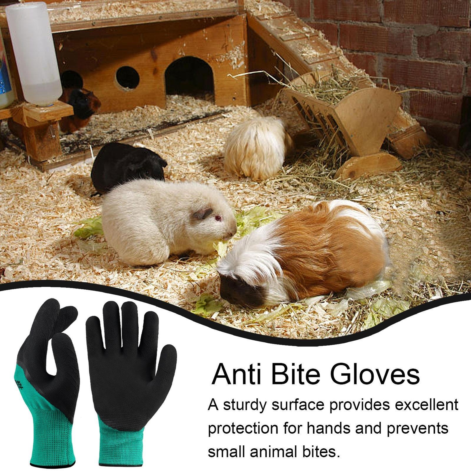 Training Anti-Bite Gloves Animal Handling Chew Protective Gloves Dog Cat Parrot