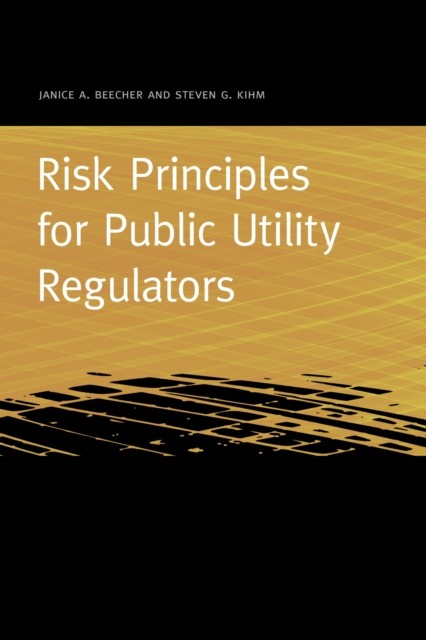 Risk Principles for Public Utility Regulators Beecher Kihm Paperback
