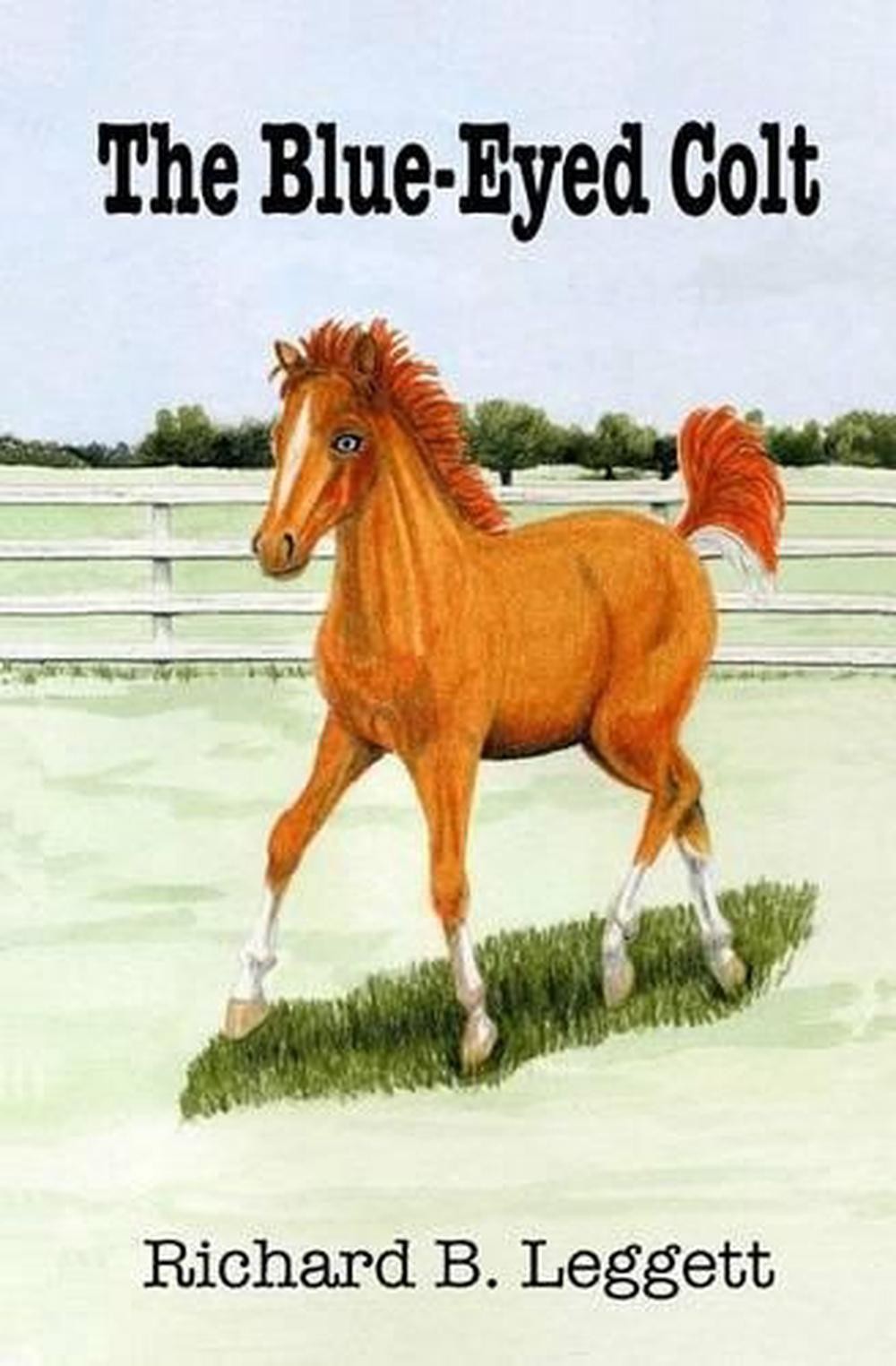 Blue-Eyed Colt Novel by Richard B Leggett English Paperback Book