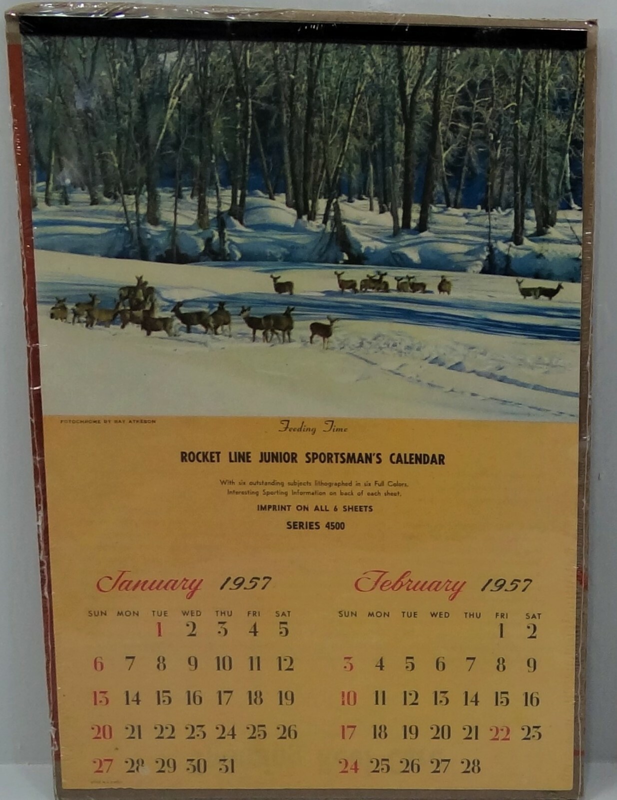 Rocket Line Junior 1957 calendario deportivo, almohadilla completa
