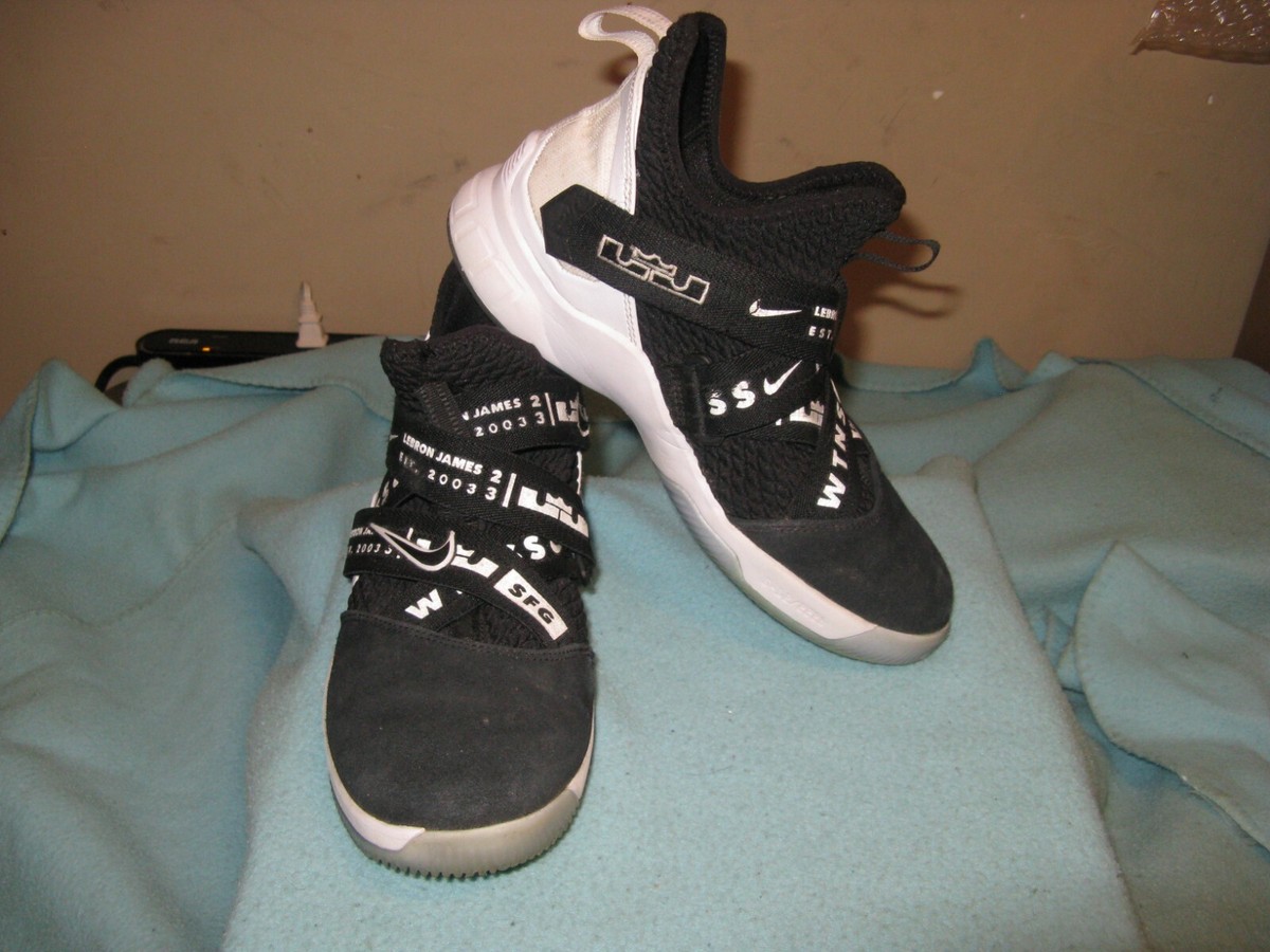 lebron james sfg shoes