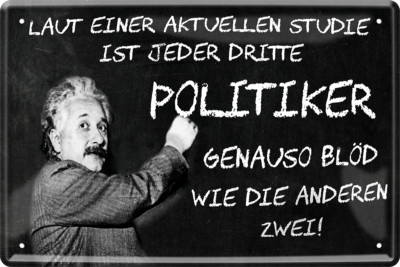  ''Laut einer aktuellen Studie. Politiker (Einstein)'' 20x30cm Blechschild