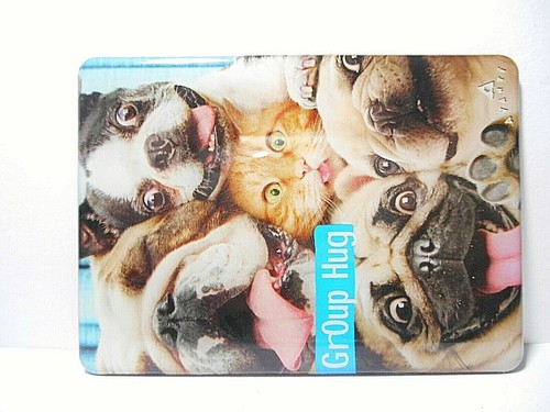 GROUP HUG SILLY PETS REFRIGERATOR MAGNET 2-1/2" X 3-1/2" - Imagen 2 de 4
