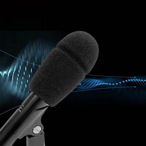 Professional Condenser Microphone for Capturing Vocal and Instrument Sounds - Picture 5 of 10