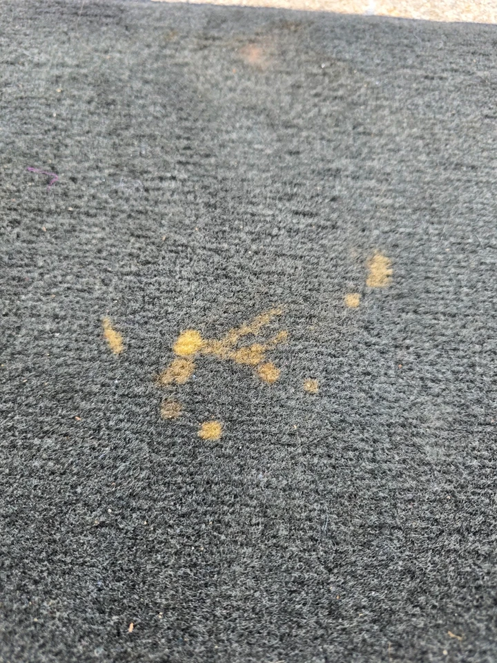 Alfombra de piso con escotilla trasera Scion xB 2012 alfombra de área de carga negra OEM (A Foto 2 de 4