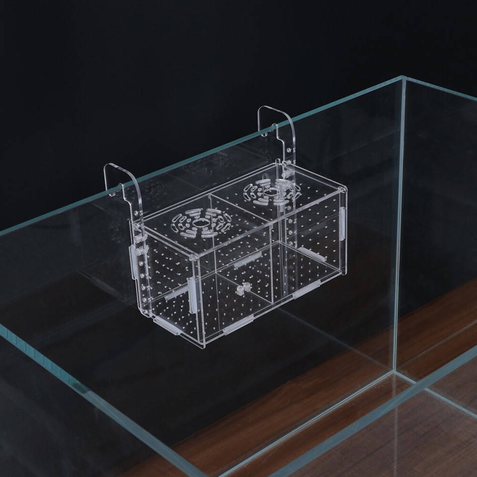 Aquarium Box Breeding Hooks for Fish Tank Adult Attack Prevention eBay