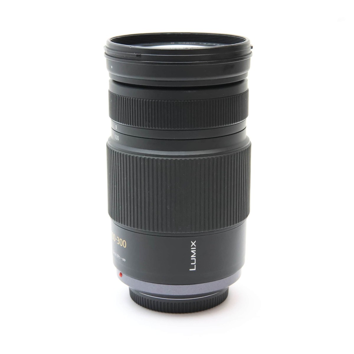 Panasonic LUMIX G VARIO 100-300mm F/4.0-5.6 MEGA O.I.S. #263