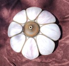 Large Vintage Tulip Lotus DOUBLE   Marbled Slag Stained Glass Shades Art Nouveau — photo 4