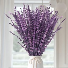 Dried Purple Lavender Flowers Bundle-Dried Preserved Lavender Bouquet 15-17" fo