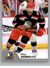 2020-21 Upper Deck AHL Hockey Base & SP Trading Cards (Pick Your Cards)