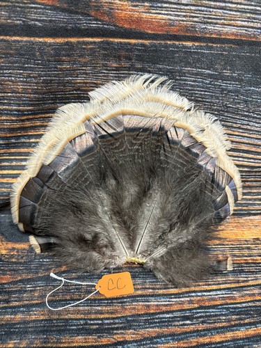 Mini Wild turkey Tail feathers plume art fan Bustle Fly Tying Craft Mount Voodoo