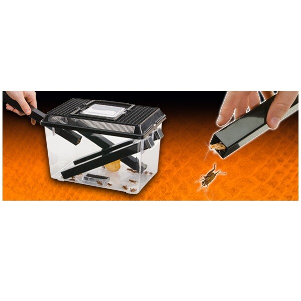 Exo Terra Cricket Box - Kit Completo Con Tubi E Spugna | Mantieni Vivi I Grilli Per Rettili