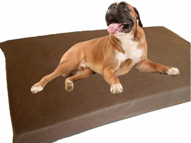 Machine Washable Dog Beds