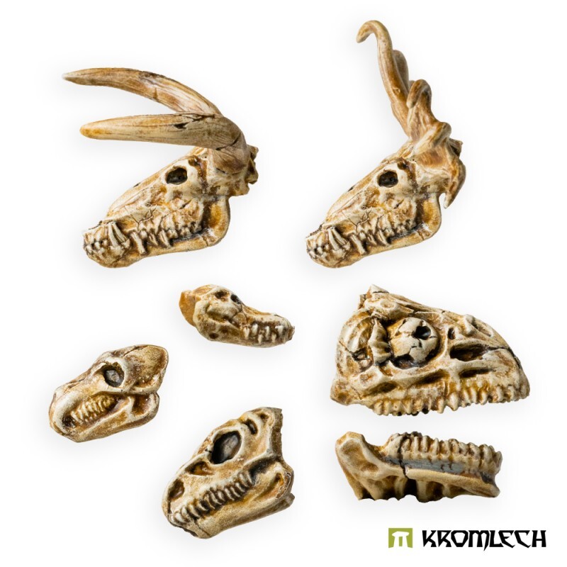 Thumbnail - Beast Skulls 6 Totenköpfe Gelände Kromlech Resin Krbk104