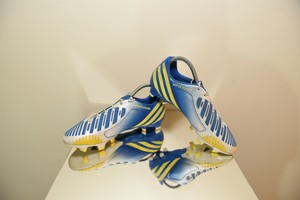 predator lethal zones
