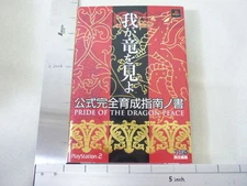 WAGA RYU WO MIYO Pride of Dragon Peace Guide Book EB *