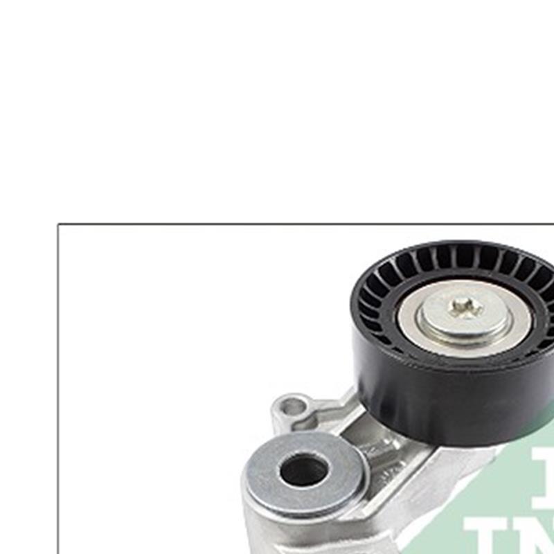 INA 534010020 Tensioner Lever for sale online | eBay