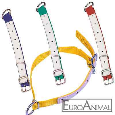 Schaf Halsriemen Halsband für Schafe Ziegen Nylon//Leder verstärkt 60cm x2,5cm