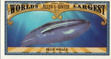 2021 Topps Allen and Ginter Mini Worlds Largest #MWL3 Blue Whale - BB
