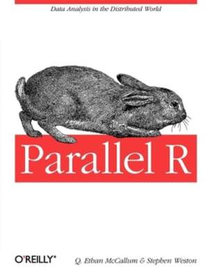 Parallel R: Data Analysis in the Distributed World by Q McCallum: Used