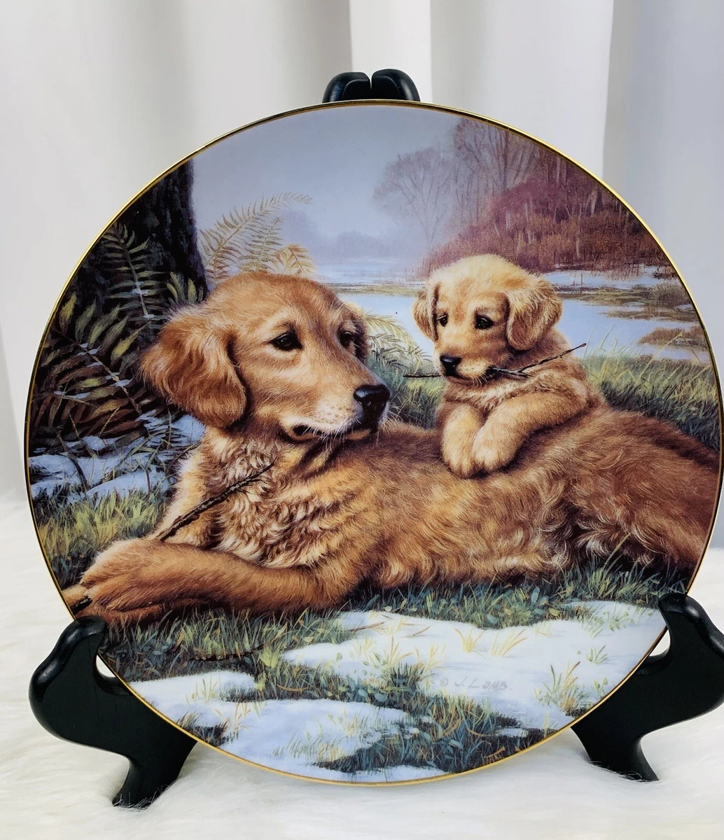 Golden retriever collector plates cheap