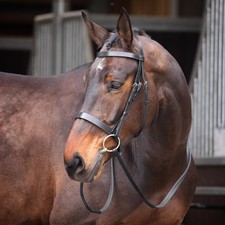 Shires Velociti GARA Plain Bridle - Black