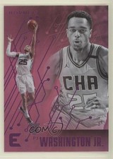 2019-20 Panini Chronicles Essentials Pink PJ Washington Jr #234 fj7