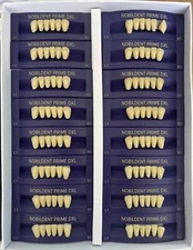 Prime Dental Acrylic Resin False Denture Teeth Anterior Posterior C1 C2 C3 C4